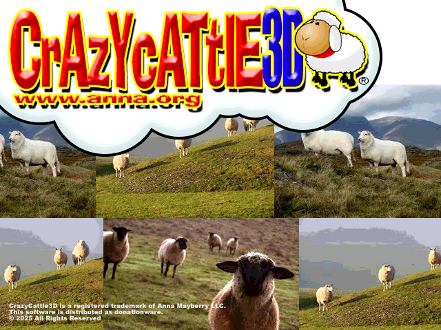 Cover for Crazy Cattle 3D